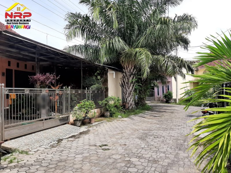 Dijual Rumah 2 Lantai Siap Huni di Perum Griya Indah Agus Salim - Banyuwangi Dijual Rumah 2 Lantai Siap Huni di Perum Griya Indah Agus Salim - Banyuwangi Dijual Rumah 2 Lantai Siap Huni di Perum Griya Indah Agus Salim - Banyuwangi
Hunuian Nyaman dengan akses jalan utama Jl. KH Agus Salim

Fasilitas : Ruang NRP BANYUWANGI