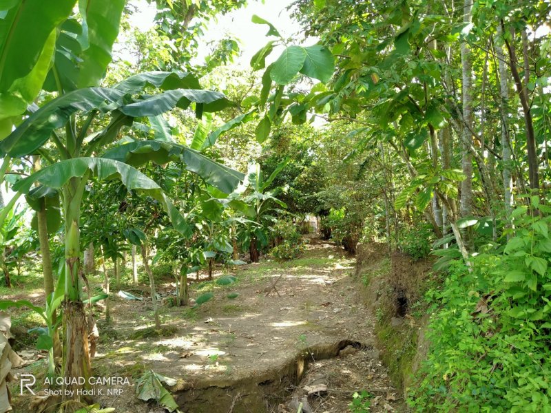 Dijual Rumah Baru Jadi Beserta Perabot Sangat Cantik Prospek di Desa Rejoagung Srono, Banyuwangi Dijual Rumah Baru Jadi Beserta Perabot Sangat Cantik Prospek di Desa Rejoagung Srono, Banyuwangi Dijual Rumah Baru Jadi Beserta Perabot Sangat Cantik Prospek di Desa Rejoagung Srono, Banyuwangi

Dibelakang Ada 14 Kolam Pembibitan Ikan Lele
Pohon NRP BANYUWANGI