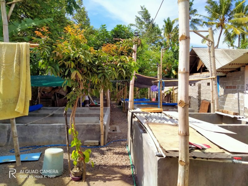 Dijual Rumah Baru Jadi Beserta Perabot Sangat Cantik Prospek di Desa Rejoagung Srono, Banyuwangi Dijual Rumah Baru Jadi Beserta Perabot Sangat Cantik Prospek di Desa Rejoagung Srono, Banyuwangi Dijual Rumah Baru Jadi Beserta Perabot Sangat Cantik Prospek di Desa Rejoagung Srono, Banyuwangi

Dibelakang Ada 14 Kolam Pembibitan Ikan Lele
Pohon NRP BANYUWANGI