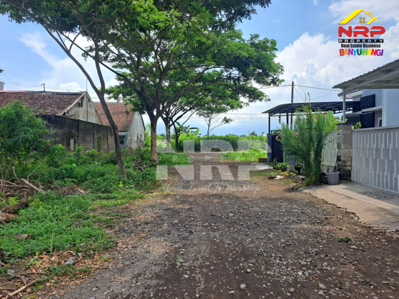 Dijual Rumah Baru Siap Huni di Kembiritan - Genteng Banyuwangi  Dijual Rumah Baru Siap Huni di Kembiritan - Genteng Banyuwangi  Dijual Rumah Baru Siap Huni di Kembiritan - Genteng Banyuwangi&nbsp;
Akses Jl. Sumberbening. 4 Menit dari Universitas Islam Ibrahimy&nbsp;

Luas Tanah : 105 NRP BANYUWANGI