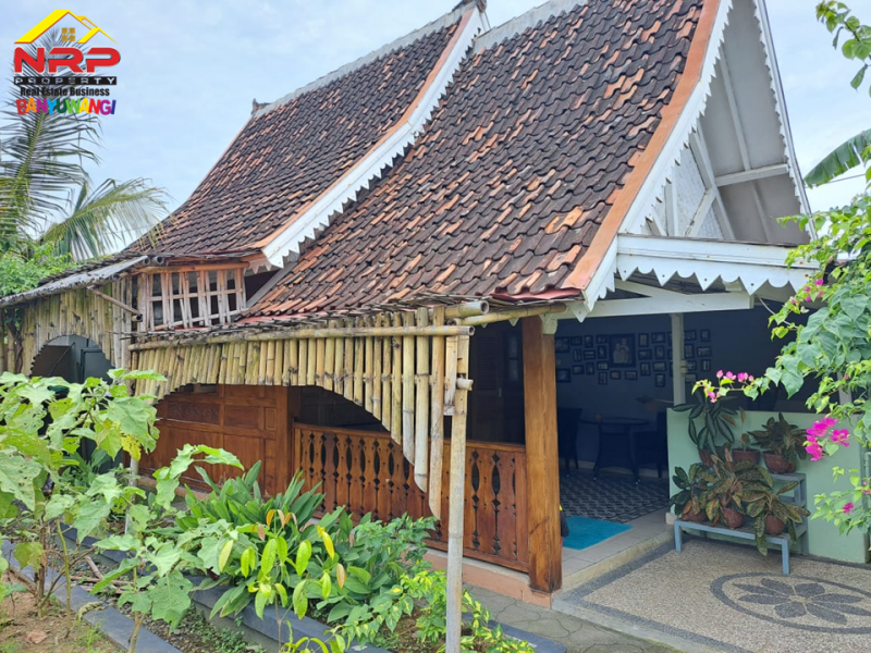 Dijual Rumah Beserta Bisnis Homestay  di Jl. Ikan Paus, Karangrejo - Banyuwangi Dijual Rumah Beserta Bisnis Homestay  di Jl. Ikan Paus, Karangrejo - Banyuwangi Dijual Rumah Beserta Bisnis Homestay&nbsp; di Jl. Ikan Paus, Karangrejo - Banyuwangi
Usaha masih berjalan hingga saat ini. Lokasi nyaman dan NRP BANYUWANGI