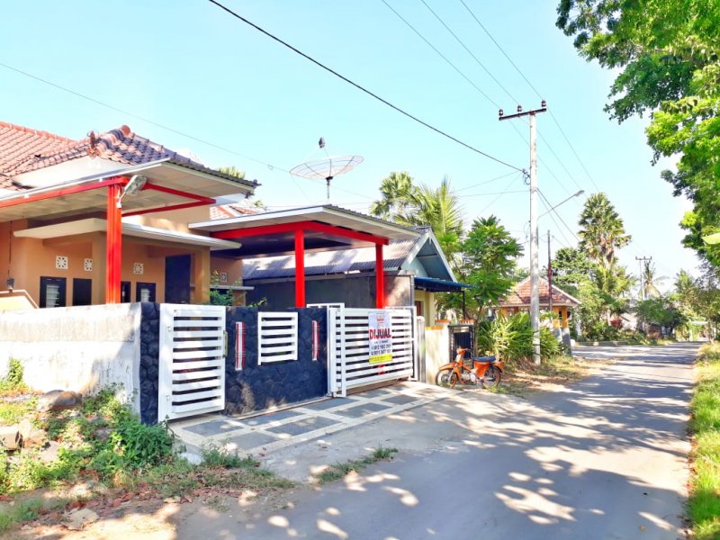 Dijual Rumah Cantik 100 Meter Dari Jalan Provinsi Dadapan Dijual Rumah Cantik 100 Meter Dari Jalan Provinsi Dadapan Banyuwangi  Dijual Rumah Cantik 100 Meter Dari Jalan Provinsi Dadapan-Banyuwangi. Lokasi Strategis, Nyaman dan Asri dengan Akses jalan Aspal 100 Meter dari Jl. NRP BANYUWANGI