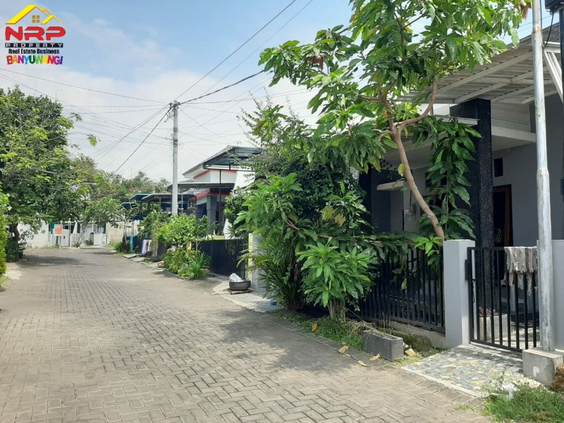 Dijual Rumah Cantik Minimalis Siap Huni di Perum. Bunga Residence - Banyuwangi Dijual Rumah Cantik Minimalis Siap Huni di Perum. Bunga Residence - Banyuwangi Dijual Rumah Cantik Minimalis Siap Huni di Perum. Bunga Residence - Banyuwangi. Hunian dengan Premium Location di Posat Kota Banyuwangi. Dekat dengan Fasilitas NRP BANYUWANGI