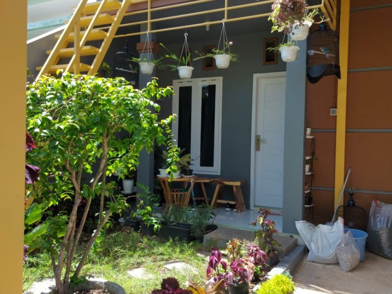 Dijual Rumah Cantik Siap Huni di Belakang Hotel santika Banyuwangi. Dijual Rumah Cantik Siap Huni di Belakang Hotel santika Banyuwangi. Dijual Rumah Cantik Siap Huni di Belakang Hotel santika Banyuwangi.
Lokasi sangat nyaman dan cocok untuk tempat tinggal, Dekat Fasilitas Pendidikan, NRP BANYUWANGI