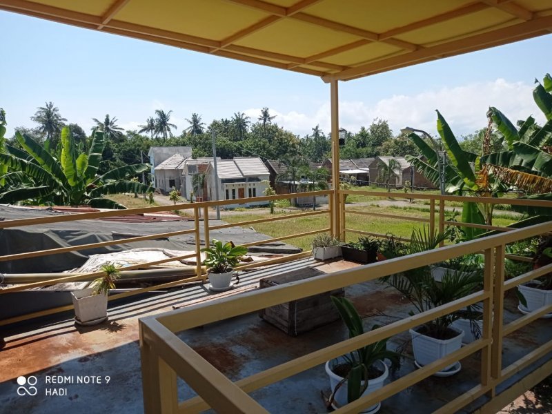 Dijual Rumah Cantik Siap Huni di Belakang Hotel santika Banyuwangi. Dijual Rumah Cantik Siap Huni di Belakang Hotel santika Banyuwangi. Dijual Rumah Cantik Siap Huni di Belakang Hotel santika Banyuwangi.
Lokasi sangat nyaman dan cocok untuk tempat tinggal, Dekat Fasilitas Pendidikan, NRP BANYUWANGI