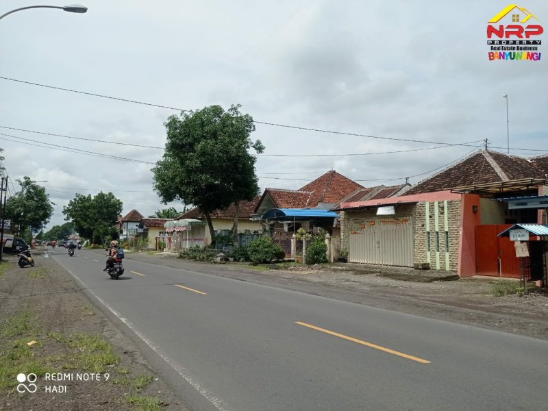 Dijual Rumah Cantik Siap Huni di Tepi Jl. Raya Srono - Banyuwangi Dijual Rumah Cantik Siap Huni di Tepi Jl. Raya Srono - Banyuwangi Dijual Rumah Cantik Siap Huni di Tepi Jl. Raya Srono - Banyuwangi
Lokasi Sangat Strategis Cocok Untuk Hunian Maupun Kantor
Dekat Dengan Fasilitas Pendidikan, NRP BANYUWANGI