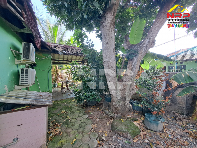 Dijual Rumah Classic Hook Murah 2 Lantai Sangat Strategis di Tamanbaru , Banyuwangi  Dijual Rumah Classic Hook Murah 2 Lantai Sangat Strategis di Tamanbaru , Banyuwangi  Dijual Rumah Classic Hook Murah 2 Lantai Sangat Strategis di Tamanbaru , Banyuwangi&nbsp;
Dekat dengan Fasilitas Pendidikan, Perbelanjaan dan kantor dinas NRP BANYUWANGI