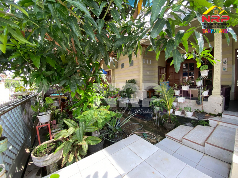 Dijual Rumah dan Kos"an Siap Huni Di Tengah Kota Banyuwangi Dijual Rumah dan Kos"an Siap Huni Di Tengah Kota Banyuwangi Dijual Rumah dan Kos"an Siap Huni Di Tengah Kota Banyuwangi
Hunian Exclusive berada di Pusat kota Banyuwangi dekat Taman Makam Pahlawan NRP BANYUWANGI