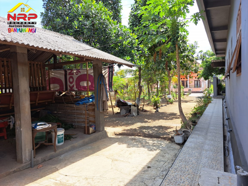 Dijual Rumah dan tanah Siap Huni 100 Meter dari Jl. Utama Srono - Bwi Dijual Rumah dan tanah Siap Huni 100 Meter dari Jl. Utama Srono - Bwi Dijual Rumah dan tanah Siap Huni 100 Meter dari Jl. Utama Srono - Bwi
Dekat dengan Fasilitas Pendidikan Srono,&nbsp;

Luas Tanah : 600 M2
Luas Bangunan : NRP BANYUWANGI