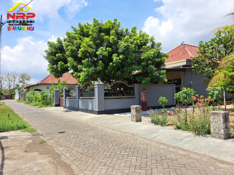 Dijual Rumah dan tanah Siap Huni 100 Meter dari Jl. Utama Srono - Bwi Dijual Rumah dan tanah Siap Huni 100 Meter dari Jl. Utama Srono - Bwi Dijual Rumah dan tanah Siap Huni 100 Meter dari Jl. Utama Srono - Bwi
Dekat dengan Fasilitas Pendidikan Srono,&nbsp;

Luas Tanah : 600 M2
Luas Bangunan : NRP BANYUWANGI