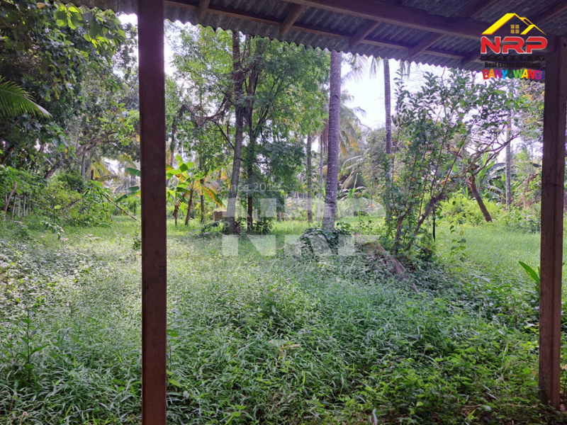 Dijual Rumah + Gudang di Secang, Kalipuro - Banyuwangi   Dijual Rumah + Gudang di Secang, Kalipuro - Banyuwangi   Dijual Rumah + Gudang di Secang, Kalipuro - Banyuwangi&nbsp;&nbsp;
85 Meter dari Jl Surabaya Secang.&nbsp;

Luas Tanah : 2.272 M2&nbsp;
Luas Bangunan : 500 NRP BANYUWANGI