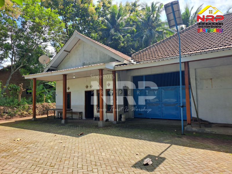 Dijual Rumah + Gudang di Secang, Kalipuro - Banyuwangi   Dijual Rumah + Gudang di Secang, Kalipuro - Banyuwangi   Dijual Rumah + Gudang di Secang, Kalipuro - Banyuwangi&nbsp;&nbsp;
85 Meter dari Jl Surabaya Secang.&nbsp;

Luas Tanah : 2.272 M2&nbsp;
Luas Bangunan : 500 NRP BANYUWANGI