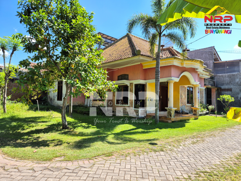 DIJUAL RUMAH HOOK DI SOBO, LUAS DAN PUNYA TAMAN PRIBADI! Dijual Rumah dan Tanah di Sobo Banyuwangi  RUMAH HOOK DI SOBO, LUAS DAN PUNYA TAMAN PRIBADI!
Jarang ada rumah yang menawarkan ruang lebih untuk keluarga sekaligus area hijau yang nyaman untuk NRP BANYUWANGI