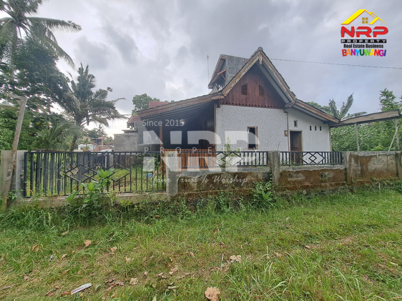 Dijual Rumah Joglo dengan nuansa alam yang menenangkan di Rejosari - Banyuwangi  Dijual Rumah Joglo dengan nuansa alam yang menenangkan di Rejosari - Banyuwangi  Dijual Rumah Joglo dengan nuansa alam yang menenangkan di Rejosari - Banyuwangi ????
Berada di kawasan yang masih asri dan sejuk,
menawarkan kenyamanan khas NRP BANYUWANGI