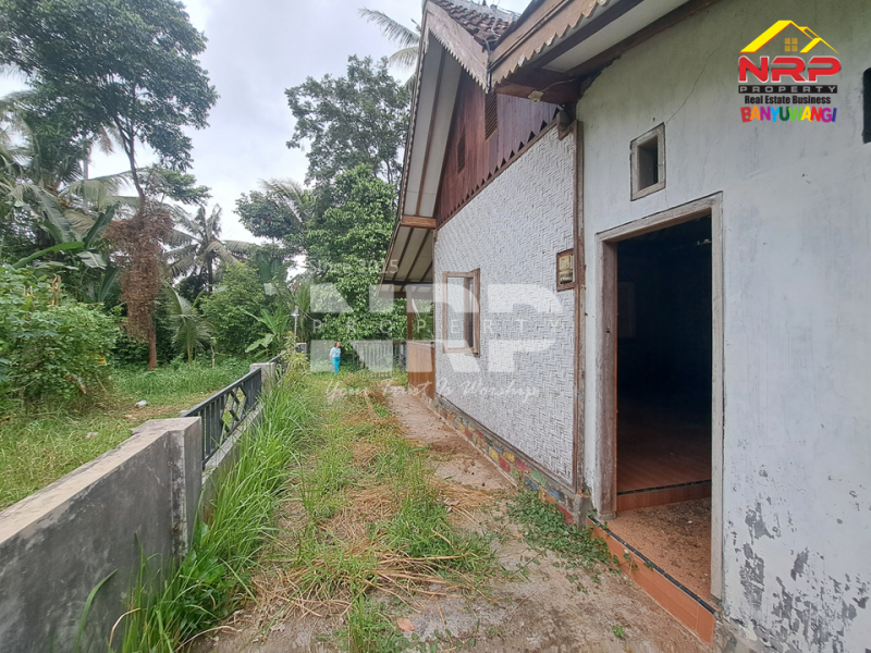 Dijual Rumah Joglo dengan nuansa alam yang menenangkan di Rejosari - Banyuwangi  Dijual Rumah Joglo dengan nuansa alam yang menenangkan di Rejosari - Banyuwangi  Dijual Rumah Joglo dengan nuansa alam yang menenangkan di Rejosari - Banyuwangi ????
Berada di kawasan yang masih asri dan sejuk,
menawarkan kenyamanan khas NRP BANYUWANGI