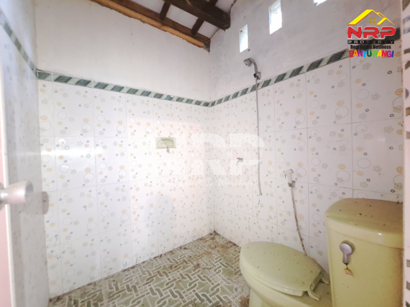 Dijual Rumah Joglo dengan nuansa alam yang menenangkan di Rejosari - Banyuwangi  Dijual Rumah Joglo dengan nuansa alam yang menenangkan di Rejosari - Banyuwangi  Dijual Rumah Joglo dengan nuansa alam yang menenangkan di Rejosari - Banyuwangi ????
Berada di kawasan yang masih asri dan sejuk,
menawarkan kenyamanan khas NRP BANYUWANGI