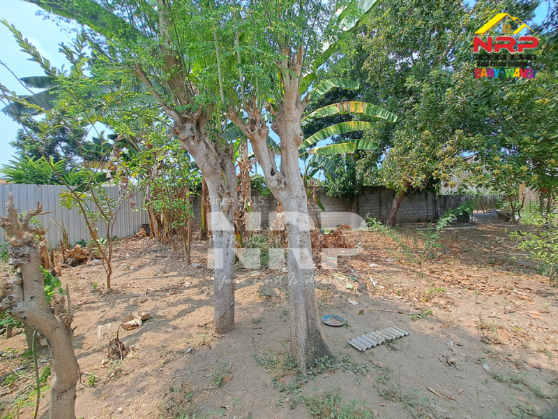 Dijual Rumah Klasik di Tamanbaru - Banyuwangi  Dijual Rumah Klasik di Tamanbaru - Banyuwangi  Dijual Rumah Klasik di Tamanbaru - Banyuwangi&nbsp;
Lokasi Sangat Prospek untuk usaha, kantor, ruang usaha, rumah hunian atau homestay.&nbsp;
Dekat dengan NRP BANYUWANGI