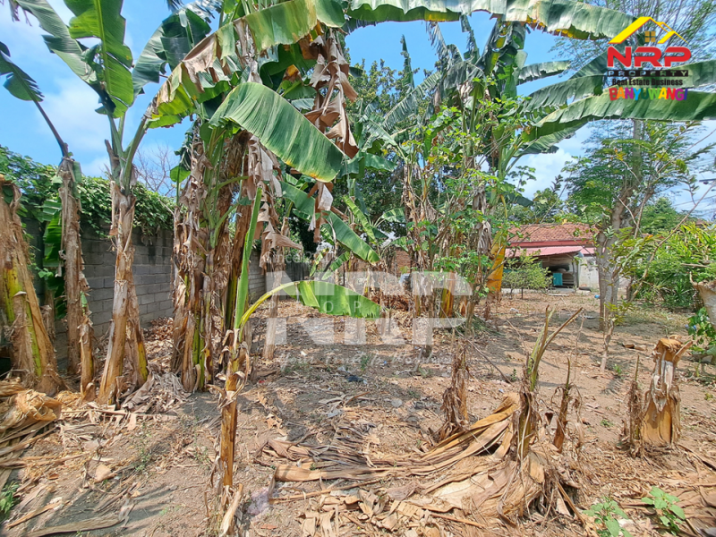 Dijual Rumah Klasik di Tamanbaru - Banyuwangi  Dijual Rumah Klasik di Tamanbaru - Banyuwangi  Dijual Rumah Klasik di Tamanbaru - Banyuwangi&nbsp;
Lokasi Sangat Prospek untuk usaha, kantor, ruang usaha, rumah hunian atau homestay.&nbsp;
Dekat dengan NRP BANYUWANGI