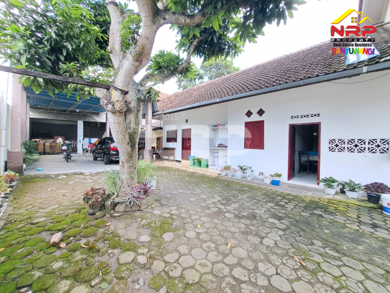 Dijual Rumah Luas 500 Meter dari Jl. Utama Rogojampi- Banyuwangi   Dijual Rumah Luas 500 Meter dari Jl. Utama Rogojampi- Banyuwangi   Dijual Rumah Luas 500 Meter dari Jl. Utama Rogojampi- Banyuwangi&nbsp;&nbsp;
Cocok untuk hunian atau ruang usaha.&nbsp; Dekat dengan Pusat Pendidikan dan NRP BANYUWANGI