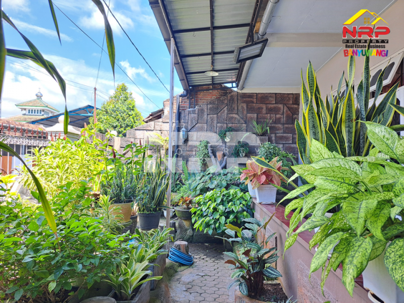 Dijual Rumah luas di belakang Santika Banyuwangi ini siap jadi hunian impianmu. Dijual Rumah luas di belakang Santika Banyuwangi ini siap jadi hunian impianmu. Rasakan nuansa klasik yang menenangkan ?
Rumah luas di belakang Santika Banyuwangi ini siap jadi hunian impianmu.
Akses mudah ke pusat kota, suasana tenang, NRP BANYUWANGI