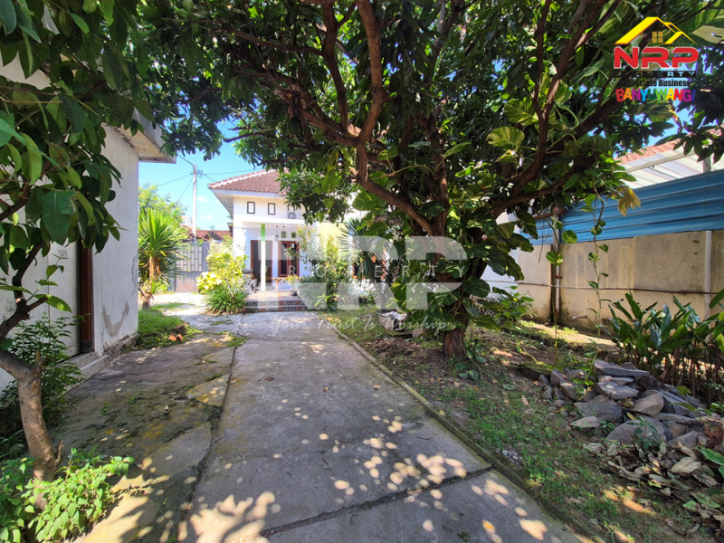 Dijual rumah luas di Kepatihan Banyuwangi Kota  Dijual rumah luas di Kepatihan Banyuwangi Kota  Meski di dalam gang, tapi jangan salah &mdash; lokasinya tetap di jantung kota Banyuwangi!
Cocok buat kamu yang ingin suasana tenang tanpa jauh dari pusat NRP BANYUWANGI
