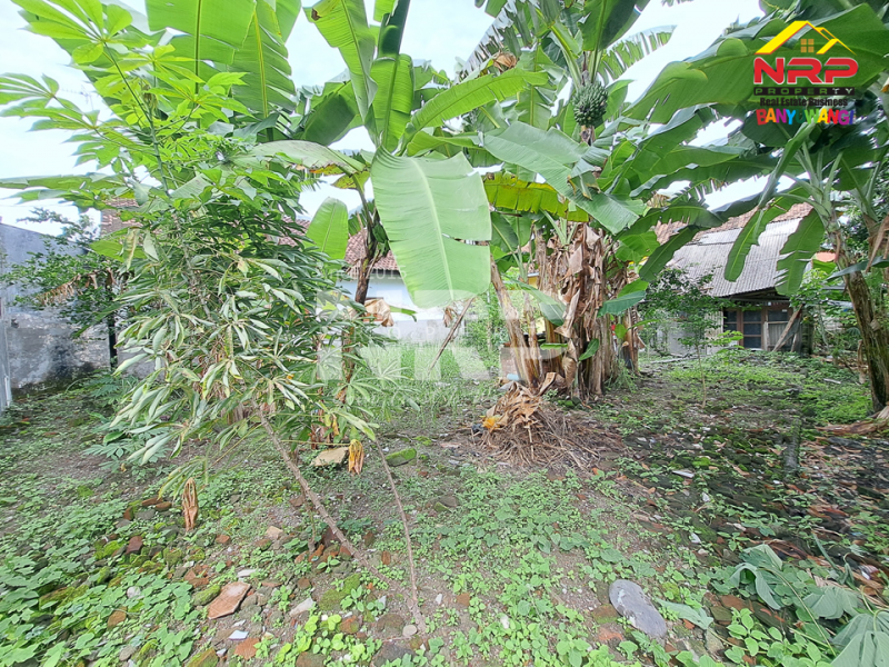 DIJUAL RUMAH LUAS TAMANBARU, BANYUWANGI KOTA DIJUAL RUMAH LUAS TAMANBARU, BANYUWANGI KOTA DIJUAL RUMAH &ndash; TAMANBARU, BANYUWANGI ????
Hunian nyaman di kawasan strategis kota Banyuwangi.
Lingkungan tenang, aman, dan bebas banjir.
Akses mudah NRP BANYUWANGI