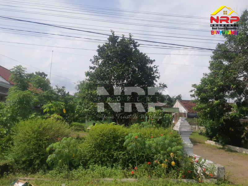 Dijual Rumah Luas tepi Jl. Hidayah Siliragung - Banyuwangi Dijual Rumah Luas tepi Jl. Hidayah Siliragung - Banyuwangi Dijual Rumah Luas tepi Jl. Hidayah Siliragung - Banyuwangi
Rumah luas dan clasic dekat dengan Kantor Kecamatan Siliragung Banyuwangi&nbsp;

Luas Tanah : NRP BANYUWANGI