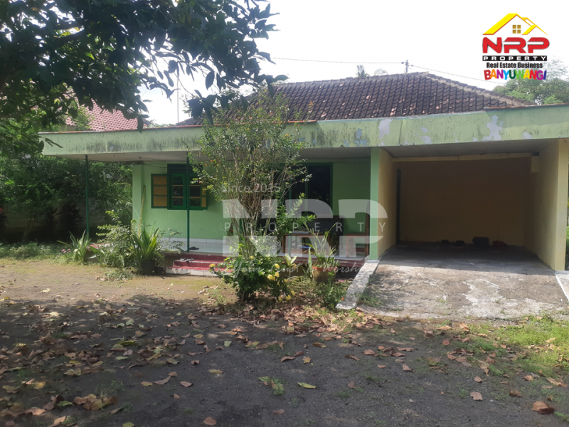 Dijual Rumah Luas tepi Jl. Hidayah Siliragung - Banyuwangi Dijual Rumah Luas tepi Jl. Hidayah Siliragung - Banyuwangi Dijual Rumah Luas tepi Jl. Hidayah Siliragung - Banyuwangi
Rumah luas dan clasic dekat dengan Kantor Kecamatan Siliragung Banyuwangi&nbsp;

Luas Tanah : NRP BANYUWANGI