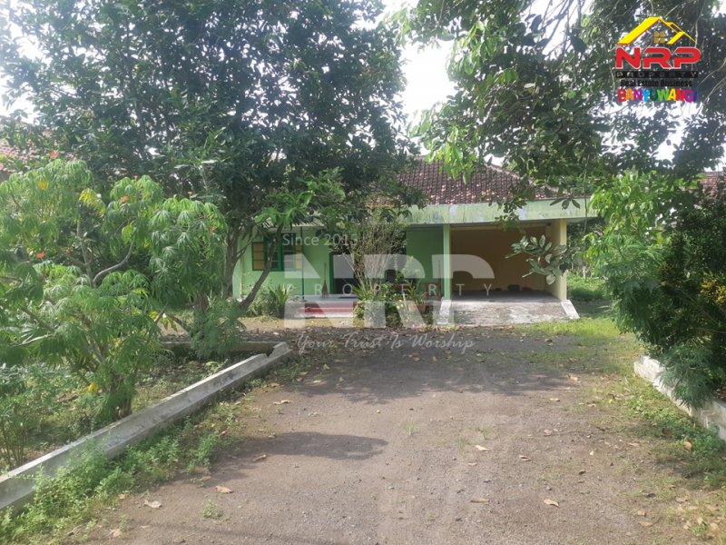 Dijual Rumah Luas tepi Jl. Hidayah Siliragung - Banyuwangi Dijual Rumah Luas tepi Jl. Hidayah Siliragung - Banyuwangi Dijual Rumah Luas tepi Jl. Hidayah Siliragung - Banyuwangi
Rumah luas dan clasic dekat dengan Kantor Kecamatan Siliragung Banyuwangi&nbsp;

Luas Tanah : NRP BANYUWANGI