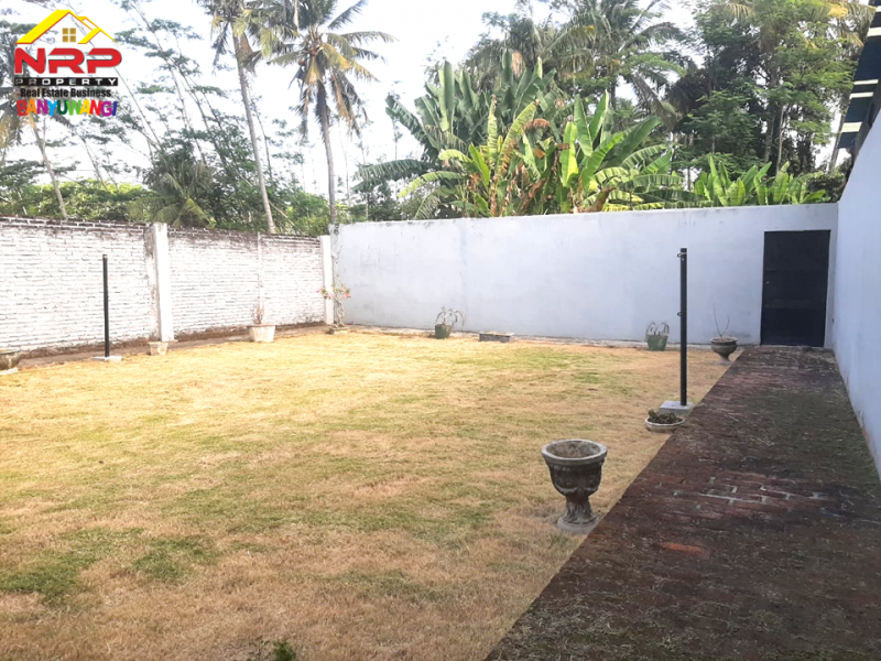 Dijual Rumah Mewah Full Prabot Di Jalan Ikan Layur, Sobo - Banyuwangi  Dijual Rumah Mewah Full Prabot Di Jalan Ikan Layur, Sobo - Banyuwangi  Dijual Rumah Mewah Full Prabot Di Jalan Ikan Layur, Sobo - Banyuwangi
Hunian Strategis di Pusat Kota . 300 Meter dari Hotel Santika Banyuwangi.
Dekat dengan NRP BANYUWANGI