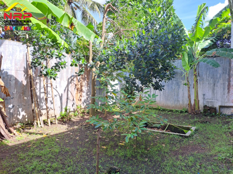 Dijual Rumah Mewah Siap Huni di Pengantigan, Rogojampi - Banyuwangi Dijual Rumah Mewah Siap Huni di Pengantigan, Rogojampi - Banyuwangi ijual Rumah Mewah Siap Huni di Pengantigan, Rogojampi - Banyuwangi
Lokasi Strategis dekat dengan fasilitas perbelanjaan dan pasar rogojampi
Lingkungan aman, NRP BANYUWANGI