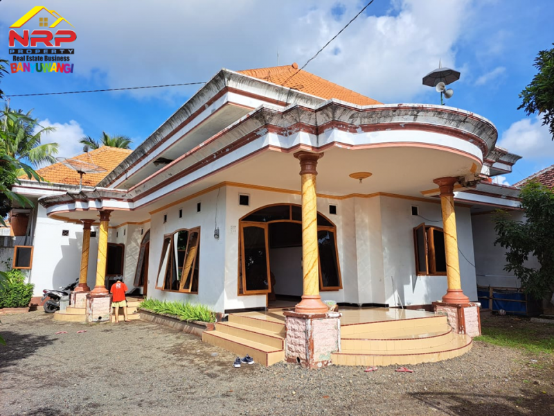 Dijual Rumah Mewah Siap Huni di Pengantigan, Rogojampi - Banyuwangi Dijual Rumah Mewah Siap Huni di Pengantigan, Rogojampi - Banyuwangi ijual Rumah Mewah Siap Huni di Pengantigan, Rogojampi - Banyuwangi
Lokasi Strategis dekat dengan fasilitas perbelanjaan dan pasar rogojampi
Lingkungan aman, NRP BANYUWANGI