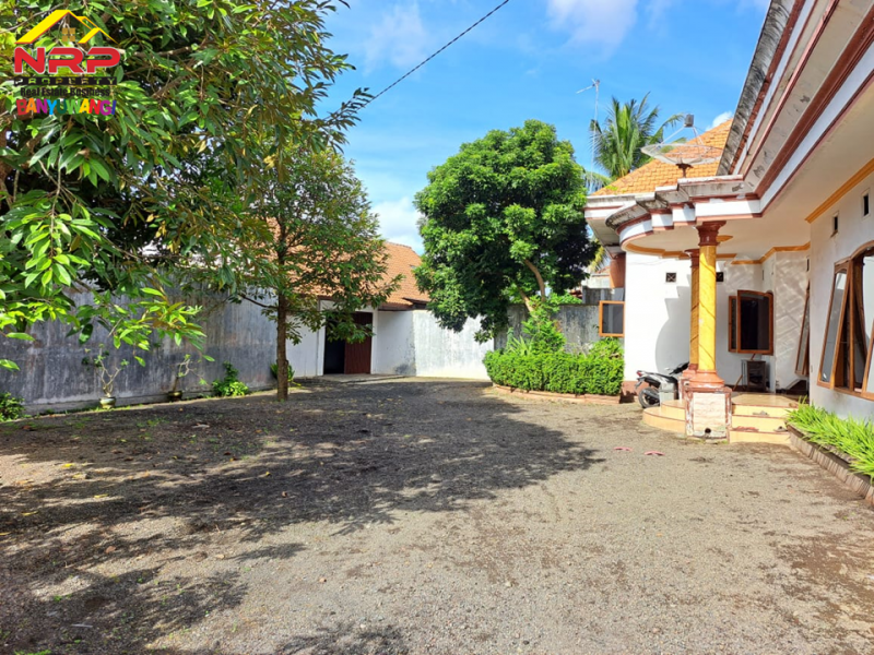 Dijual Rumah Mewah Siap Huni di Pengantigan, Rogojampi - Banyuwangi Dijual Rumah Mewah Siap Huni di Pengantigan, Rogojampi - Banyuwangi ijual Rumah Mewah Siap Huni di Pengantigan, Rogojampi - Banyuwangi
Lokasi Strategis dekat dengan fasilitas perbelanjaan dan pasar rogojampi
Lingkungan aman, NRP BANYUWANGI