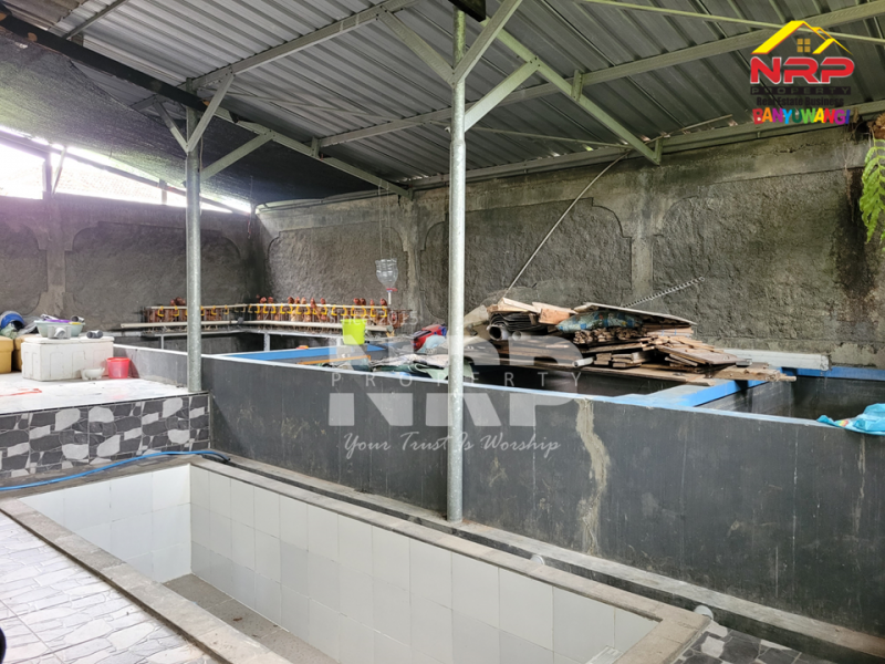 Dijual Rumah Minimalis di Kebalenan - Banyuwangi  Dijual Rumah Minimalis di Kebalenan - Banyuwangi  Dijual Rumah Minimalis di Kebalenan - Banyuwangi&nbsp;
meskipun aksesnya masih tanah, lokasinya terus berkembang dan berada di pusat kota

LT : 200 m2
LB : NRP BANYUWANGI