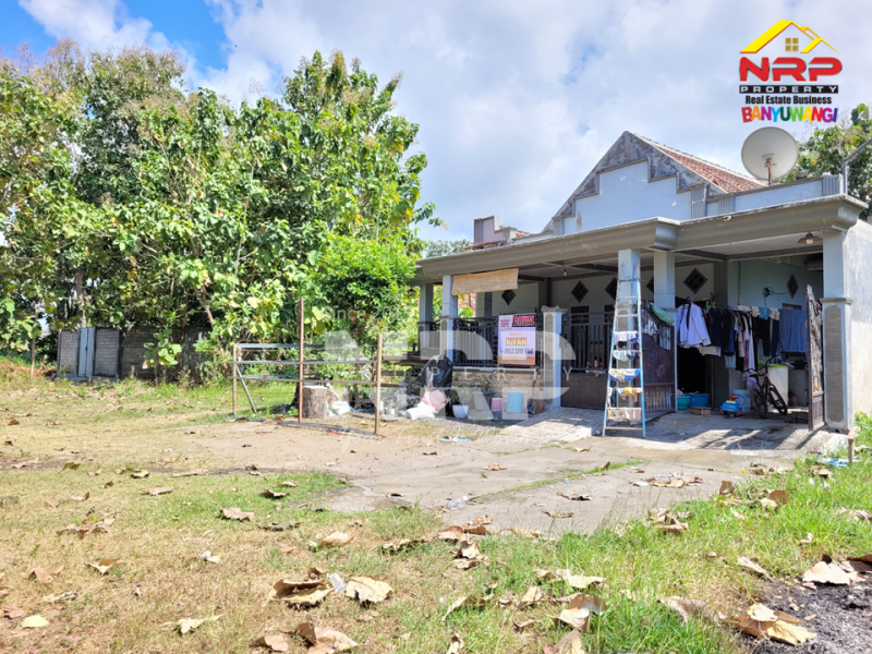 Dijual Rumah Minimalis di Kebalenan - Banyuwangi  Dijual Rumah Minimalis di Kebalenan - Banyuwangi  Dijual Rumah Minimalis di Kebalenan - Banyuwangi&nbsp;
meskipun aksesnya masih tanah, lokasinya terus berkembang dan berada di pusat kota

LT : 200 m2
LB : NRP BANYUWANGI