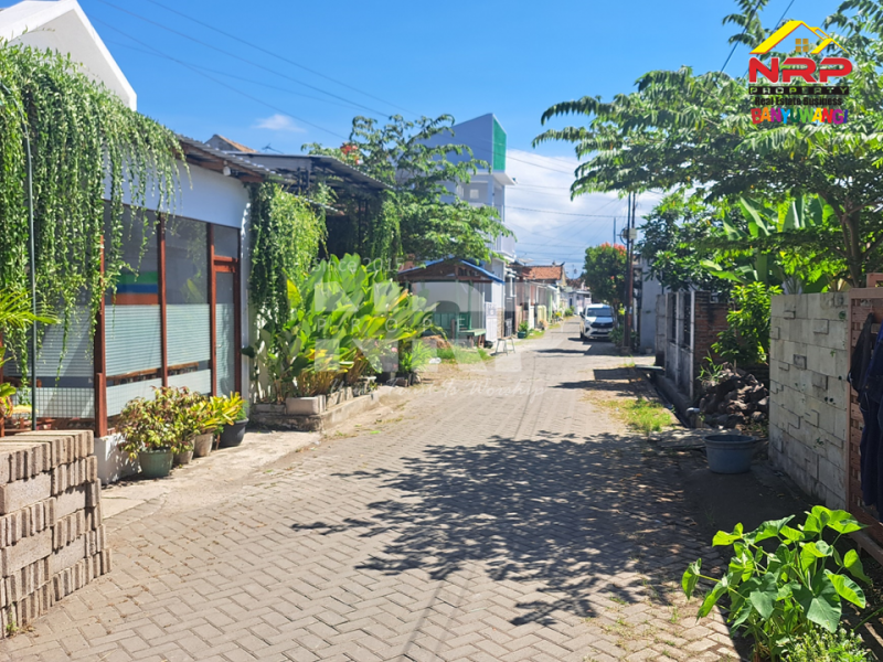 Dijual Rumah Minimalis di Kertosari - Banyuwangi  Dijual rumah di banyuwangi kota  Dijual Rumah Minimalis di Kertosari - Banyuwangi&nbsp;
Dekat Fasilitas Pendidikan, Pebelanjaan, pertokoan dan sentra kuliner,

LT/LB : 120/36 M2 NRP BANYUWANGI