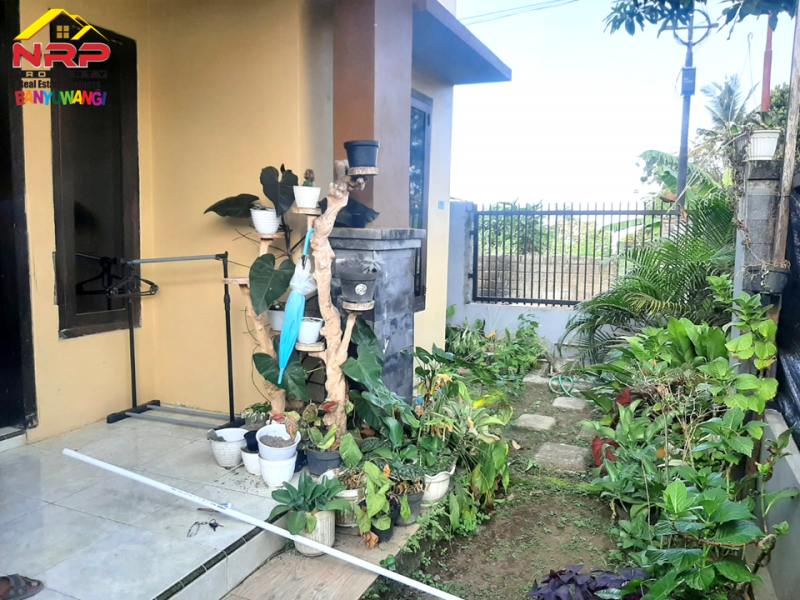 Dijual Rumah Minimalis Hook Siap Huni di Jl. Agus Salim - Banyuwangi Dijual Rumah Minimalis Hook Siap Huni di Jl. Agus Salim - Banyuwangi Dijual Rumah Minimalis Hook Siap Huni di Jl. Agus Salim - Banyuwangi
Lokasi Strategis Cocok Untuk Hunian.&nbsp;

Luas Tanah : 132 m2 SHM
Luas Bangunan : NRP BANYUWANGI