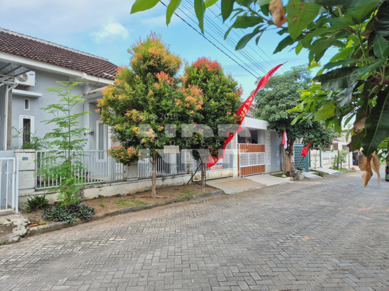 Dijual Rumah Minimalis Siap Huni di Perum. GPI Rogojampi - Banyuwangi Dijual Rumah Minimalis Siap Huni di Perum. GPI Rogojampi - Banyuwangi Dijual Rumah Minimalis Siap Huni di Perum. GPI Rogojampi - Banyuwangi
Hunian Strategis dekat dengan fasilitas perbelanjaan dan pasar rogojampi

Luas Tanah : NRP BANYUWANGI