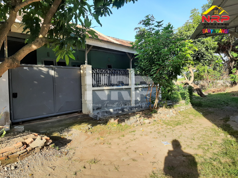 Dijual Rumah Minimalis Siap Huni di Perum. Palm Raya Karangrejo - Banyuwangi  Dijual Rumah Minimalis Siap Huni di Perum. Palm Raya Karangrejo - Banyuwangi  Dijual Rumah Minimalis Siap Huni di Perum. Palm Raya Karangrejo - Banyuwangi&nbsp;
Hunian di Tengah Kota Banyuwangi, Dekat dengan Poltek Masami NRP BANYUWANGI