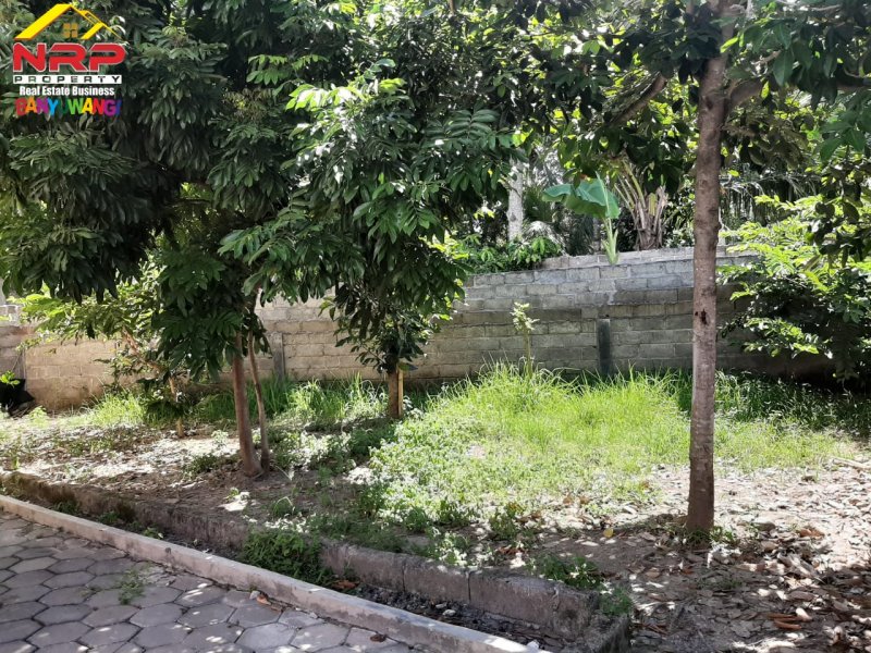 Dijual Rumah Pojok dengan Halaman Luas di Perum Brawijaya Regency Banyuwangi Dijual Rumah Pojok dengan Halaman Luas di Perum Brawijaya Regency Banyuwangi Dijual Rumah Pojok dengan Halaman Luas di Perum Brawijaya Regency Banyuwangi
Hunian Nyaman di Pusat Kota Banyuwangi
Akses 0 Jalan Provinsi "Jl. NRP BANYUWANGI