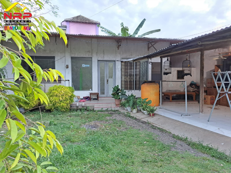 Dijual Rumah Pojok Siap Huni tepi Jalan Lintas Barat Rogojampi  - Banyuwangi Dijual Rumah Pojok Siap Huni tepi Jalan Lintas Barat Rogojampi  - Banyuwangi Dijual Rumah Pojok Siap Huni tepi Jalan Lintas Barat Rogojampi&nbsp; - Banyuwangi
Lokasi strategis, cocok digunakan untuk hunian sekaligus untuk usaha NRP BANYUWANGI
