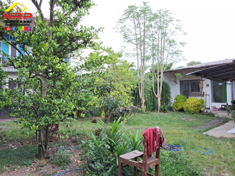 Dijual Rumah Pojok Siap Huni tepi Jalan Lintas Barat Rogojampi  - Banyuwangi Dijual Rumah Pojok Siap Huni tepi Jalan Lintas Barat Rogojampi  - Banyuwangi Dijual Rumah Pojok Siap Huni tepi Jalan Lintas Barat Rogojampi&nbsp; - Banyuwangi
Lokasi strategis, cocok digunakan untuk hunian sekaligus untuk usaha NRP BANYUWANGI