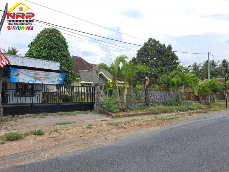 Dijual Rumah Sangat luas tepi Jl. Wonosobo Rejoagung - Banyuwangi  Dijual Rumah Sangat luas tepi Jl. Wonosobo Rejoagung - Banyuwangi  Dijual Rumah Sangat luas tepi Jl. Wonosobo Rejoagung - Banyuwangi&nbsp;
600 Meter dari Jln Utama Srono. Dekat Dengan Fasilitas Pendidikan, Pusat Perbelanjaan NRP BANYUWANGI