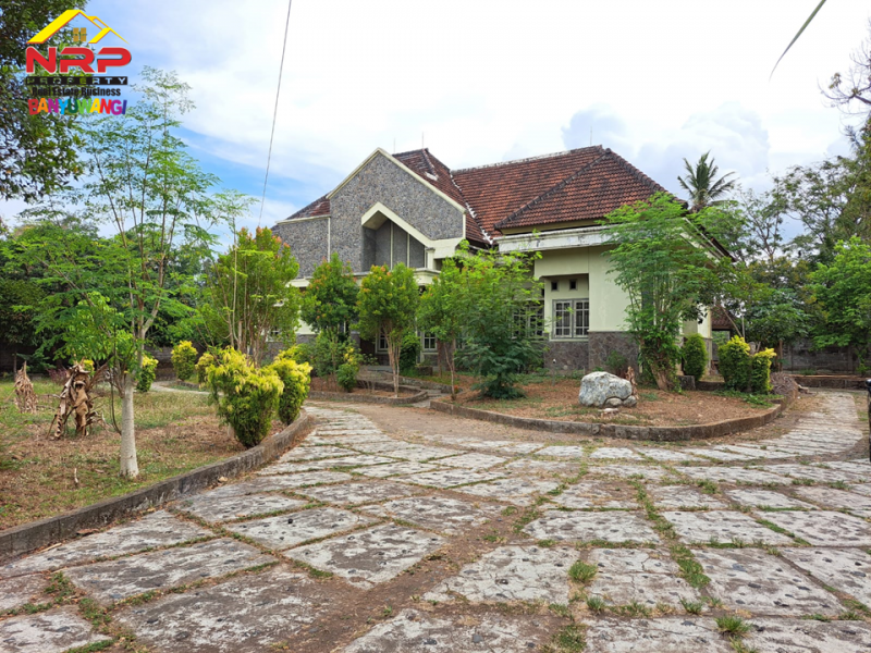Dijual Rumah Sangat luas tepi Jl. Wonosobo Rejoagung - Banyuwangi  Dijual Rumah Sangat luas tepi Jl. Wonosobo Rejoagung - Banyuwangi  Dijual Rumah Sangat luas tepi Jl. Wonosobo Rejoagung - Banyuwangi&nbsp;
600 Meter dari Jln Utama Srono. Dekat Dengan Fasilitas Pendidikan, Pusat Perbelanjaan NRP BANYUWANGI