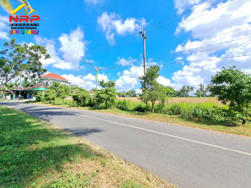 Dijual Rumah, Sawah, Beserta Usahanya di Rogojampi - Banyuwangi  Dijual Rumah, Sawah, Beserta Usahanya di Rogojampi - Banyuwangi  Dijual Rumah, Sawah, Beserta Usahanya di Rogojampi - Banyuwangi&nbsp;
Berada di Jl. Simpangan Menuju Arah Bandara Blimbingsari - Banyuwangi&nbsp;
Usaha Pom NRP BANYUWANGI