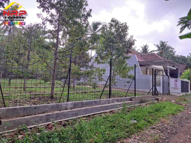 Dijual Rumah Semi Vila beserta Taman Durian Produktif di Gombengsari - Banyuwangi  Dijual Rumah Semi Vila beserta Taman Durian Produktif di Gombengsari - Banyuwangi  Dijual Rumah Semi Vila beserta Taman Durian Produktif di Gombengsari - Banyuwangi&nbsp;
50 Meter dari Jl. Samarinda - Kalipuro.&nbsp;
Dekat dengan Fasilitas NRP BANYUWANGI