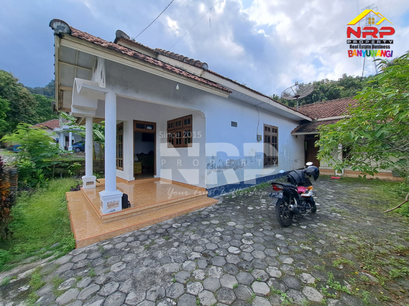 Dijual Rumah Siap Huni  di Ketapang  - Banyuwangi Dijual Rumah Siap Huni  di Ketapang  - Banyuwangi Dijual Rumah Siap Huni&nbsp; di Ketapang&nbsp; - Banyuwangi
Dekat dengan terminal sritanjung ketapang. Akses jl. raya situbondo - banyuwangi&nbsp;

Luas NRP BANYUWANGI