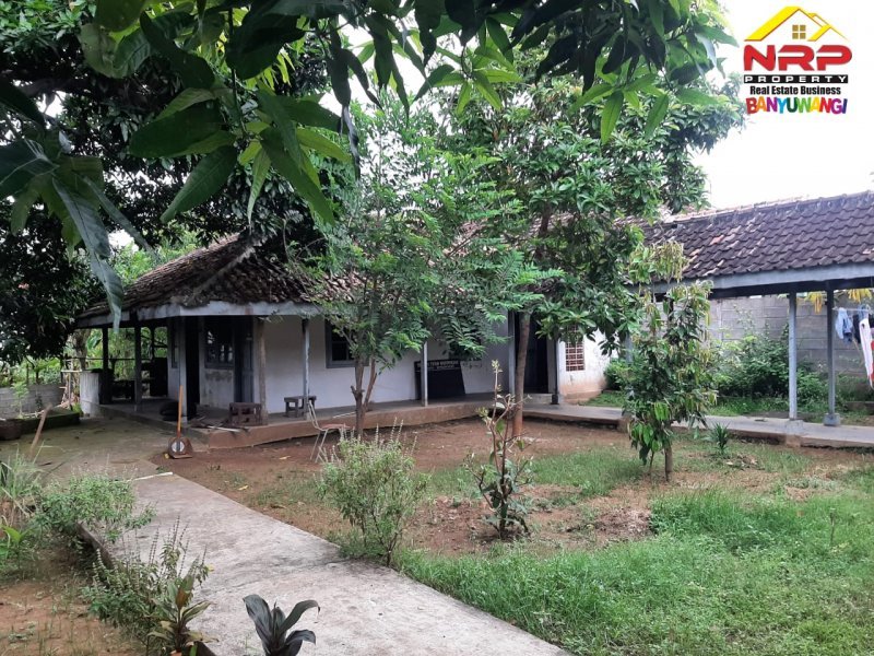 Dijual Rumah Strategis Beserta Ruang Usaha di Jl. Kapten Ilyas - Bwi Dijual Rumah Strategis Beserta Ruang Usaha di Jl. Kapten Ilyas - Bwi Dijual Rumah Stretegis Beserta Ruang Usaha di Jl. Kapten Ilyas - Bwi
Sangat cocok untuk Hunian maupun Ruang Usaha
Terletak di Kawasan bisnis aktif, dekat NRP BANYUWANGI