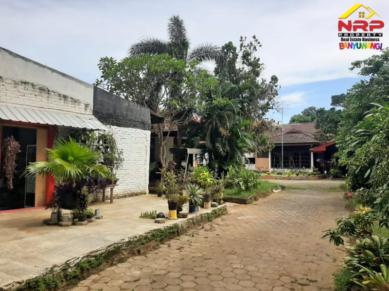 Dijual Rumah Strategis Beserta Ruang Usaha di Jl. Kapten Ilyas - Bwi Dijual Rumah Strategis Beserta Ruang Usaha di Jl. Kapten Ilyas - Bwi Dijual Rumah Stretegis Beserta Ruang Usaha di Jl. Kapten Ilyas - Bwi
Sangat cocok untuk Hunian maupun Ruang Usaha
Terletak di Kawasan bisnis aktif, dekat NRP BANYUWANGI