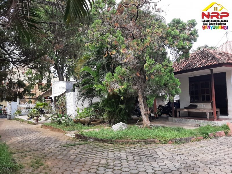 Dijual Rumah Strategis Beserta Ruang Usaha di Jl. Kapten Ilyas - Bwi Dijual Rumah Strategis Beserta Ruang Usaha di Jl. Kapten Ilyas - Bwi Dijual Rumah Stretegis Beserta Ruang Usaha di Jl. Kapten Ilyas - Bwi
Sangat cocok untuk Hunian maupun Ruang Usaha
Terletak di Kawasan bisnis aktif, dekat NRP BANYUWANGI